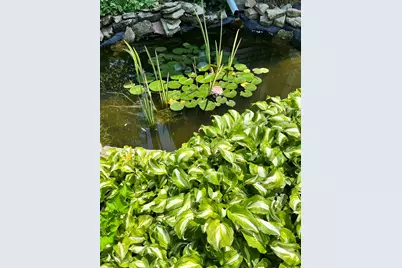 428 N Priaire, Rockton, IL 61072 - Photo 13