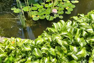 428 N Prairie, Rockton, IL 61072 - Photo 13