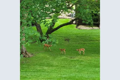 2917 Brookview Drive #Unit 1, Freeport, IL 61032 - Photo 41