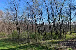 13 Hickory Trail, Galena, IL 61036 - Photo 1