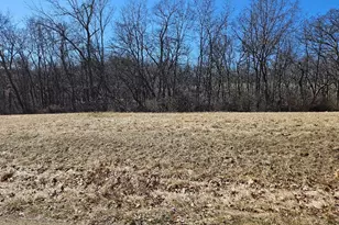 3499 Shady Ln, Lake Carroll, IL 61046 - Photo 1