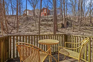 334 Spring St, Galena, IL 61036 - Photo 49