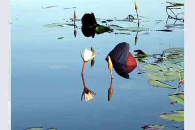 1305 Chadbourne, Davis, IL 61019 - Photo 3