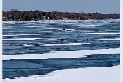 1306 Chadbourne Drive, Davis, IL 61019 - Photo 45