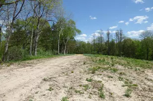 6163 S Blanding Rd, Hanover, IL 61041 - Photo 55