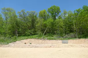 6163 S Blanding Rd, Hanover, IL 61041 - Photo 47