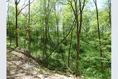 6163 S Blanding Road, Hanover, IL 61041 - Photo 71