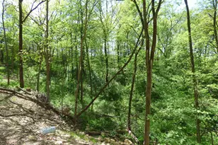 6163 S Blanding Rd, Hanover, IL 61041 - Photo 71