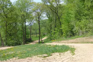 6163 S Blanding Rd, Hanover, IL 61041 - Photo 57