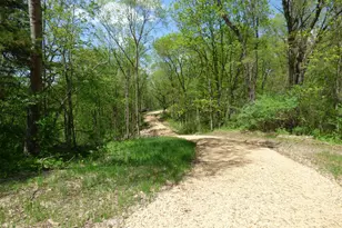 6163 S Blanding Rd, Hanover, IL 61041 - Photo 59