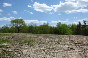 6163 S Blanding Rd, Hanover, IL 61041 - Photo 53