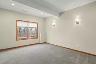 24-114 Lake Carroll Blvd, Lake Carroll, IL 61046 - Photo 69