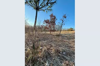 Tbd Scenic Ridge Road, Savanna, IL 61074 - Photo 23