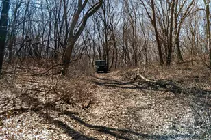 0 Holly Rd, Fulton, IL 61252 - Photo 11