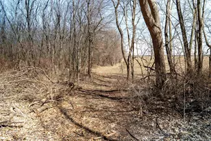 0 Holly Rd, Fulton, IL 61252 - Photo 35