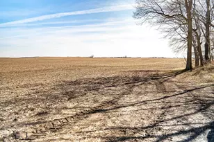 0 Holly Rd, Fulton, IL 61252 - Photo 15