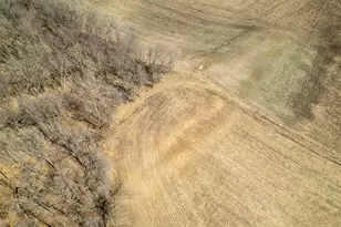 0 Holly Rd, Fulton, IL 61252 - Photo 23