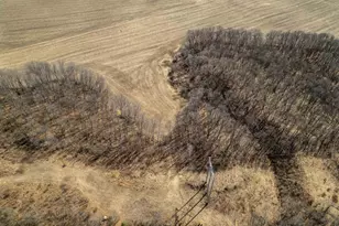 0 Holly Rd, Fulton, IL 61252 - Photo 9