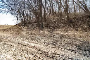 0 Holly Rd, Fulton, IL 61252 - Photo 13