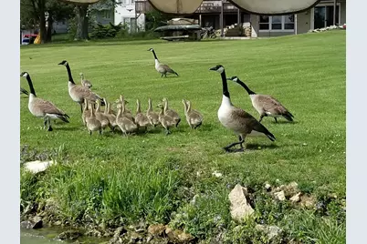 1396 Pier Drive, Davis, IL 61019 - Photo 9