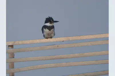 1396 Pier Drive, Davis, IL 61019 - Photo 35