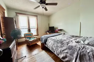 31 3rd St, Savanna, IL 61074 - Photo 29