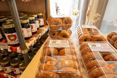 1706 S Baileyville Road, Freeport, IL 61032 - Photo 7