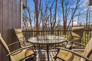 4 Cedar Bluff Ln, Galena, IL 61036 - Photo 35