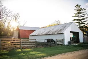 10198 S Crazy Hollow Rd, Hanover, IL 61041 - Photo 31