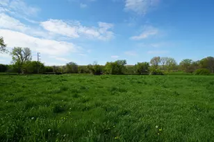 201 S Jackson, Hanover, IL 61041 - Photo 35