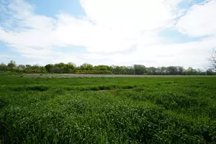 201 S Jackson, Hanover, IL 61041 - Photo 33