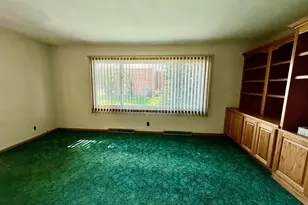 201 S Jackson, Hanover, IL 61041 - Photo 15