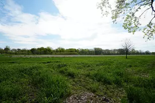 201 S Jackson, Hanover, IL 61041 - Photo 37