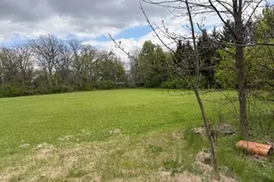 1041 Donna Dr, Belvidere, IL 61008 - Photo 73