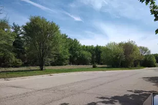 003 E Britnie Dr, Poplar Grove, IL 61065 - Photo 1