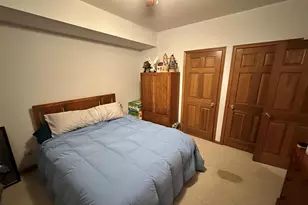 493 Jenny Ln, Elizabeth, IL 61028 - Photo 41