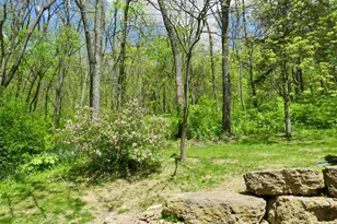 13 Heatherdowns, Galena, IL 61036 - Photo 51