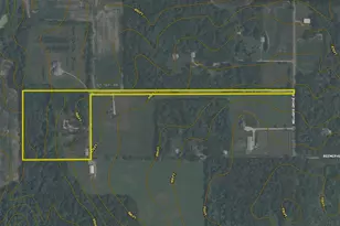 911 .5 Melugins Grove Rd, West Brooklyn, IL 61378 - Photo 61