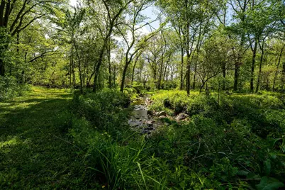 911.5 Melugins Grove Road, West Brooklyn, IL 61378 - Photo 45
