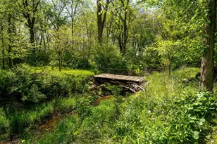 911 .5 Melugins Grove Rd, West Brooklyn, IL 61378 - Photo 39