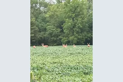 88Xx Yale Bridge Road, Rockton, IL 61072 - Photo 5