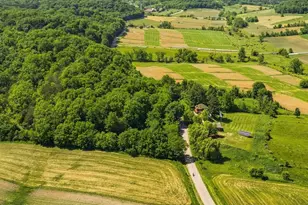 2181 S Irish Hollow Rd, Galena, IL 61036 - Photo 47