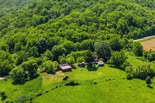2181 S Irish Hollow Rd, Galena, IL 61036 - Photo 5