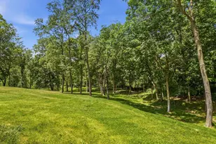 3 Laurel Ct, Galena, IL 61036 - Photo 53