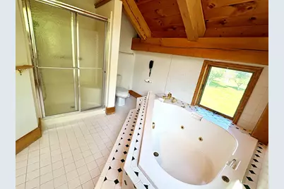 821 Bernal Court, Spring Valley, IL 61362 - Photo 51