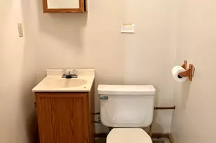 821 Bernal Ct, Spring Valley, IL 61362 - Photo 71