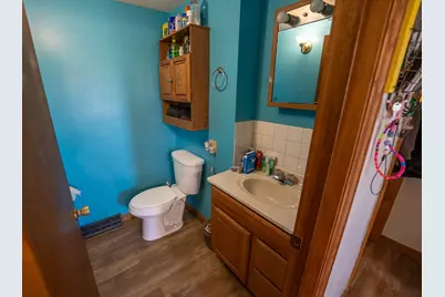 30319 Brookville A&b Road, Lanark, IL 61046 - Photo 57