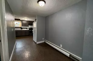 208 E Broad St, Mount Carroll, IL 61053 - Photo 7