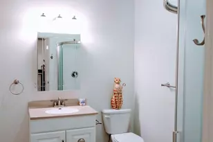 102 E Market Street Apt 3 St, Mount Carroll, IL 61053 - Photo 7