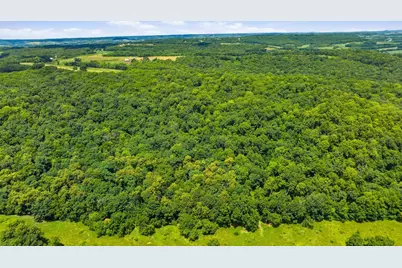 8790 S Gamble Hill Road, Hanover, IL 61041 - Photo 53